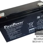Batería Recargable Seca 6 V 12 Ah