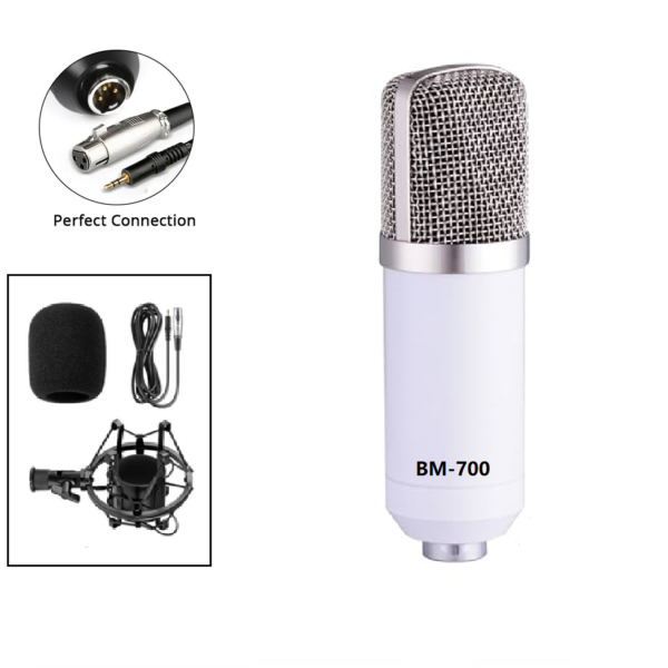 MICROFONO DE CONDENSADOR KIT PARA ESTUDIO BM-700 - Imagen 2