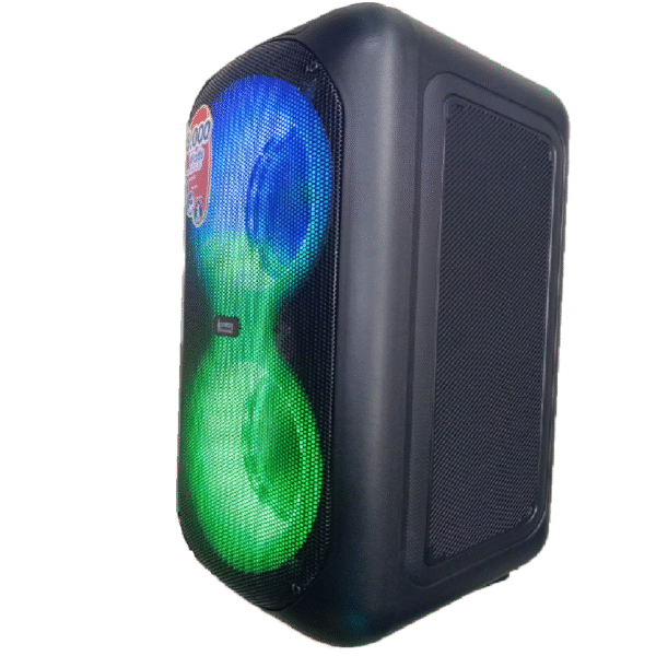 CAJA AMPLIFICADA CON BATERIA 2X6 PULGADAS RM26 - Imagen 2